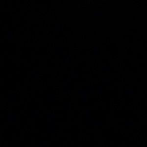 Meet your Posher, Isabel